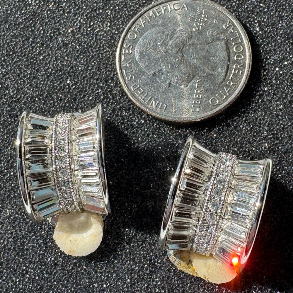 Elegant Silver Crystal Earrings